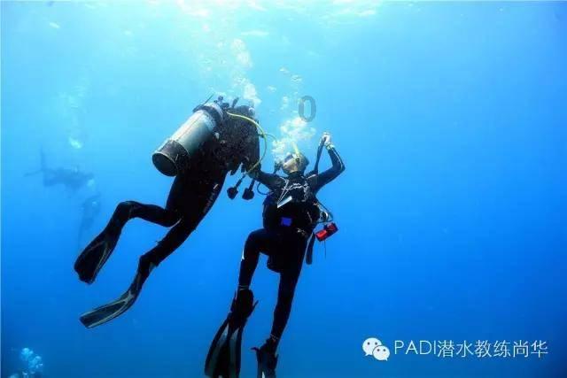 动物帮帮忙保卫家园