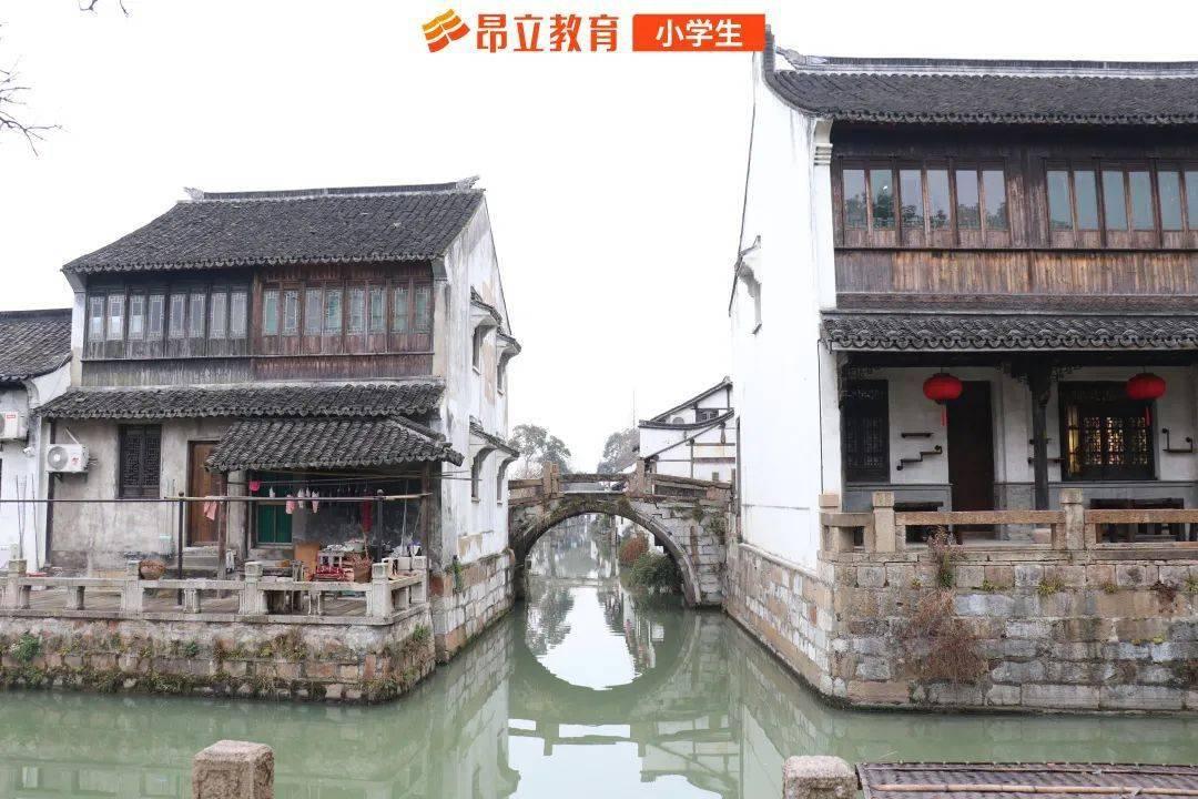 虫虫助手下载